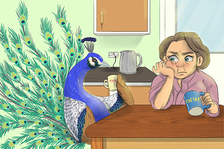 It was an odd sensation (ostentation) – she knew there were really no peacocks there, but she kept seeing them in the kitchen.